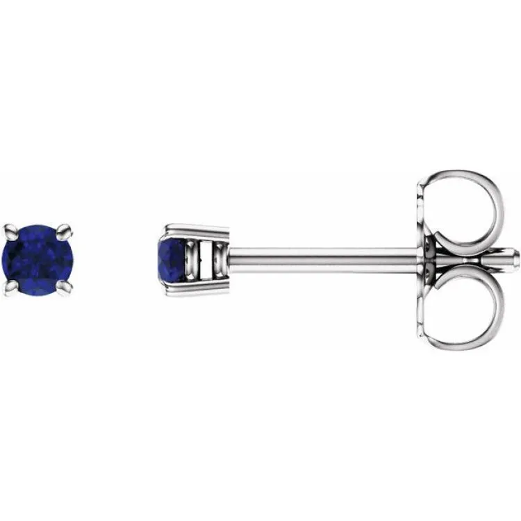 14K White 2.5 mm Natural Blue Sapphire Stud Earrings with Friction Post