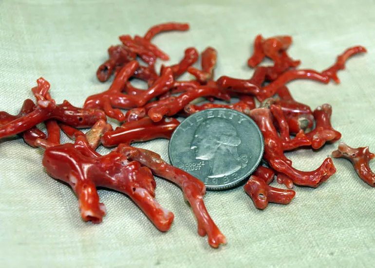Collection Italian Branch Coral from the Lou Zeldis Component Collection