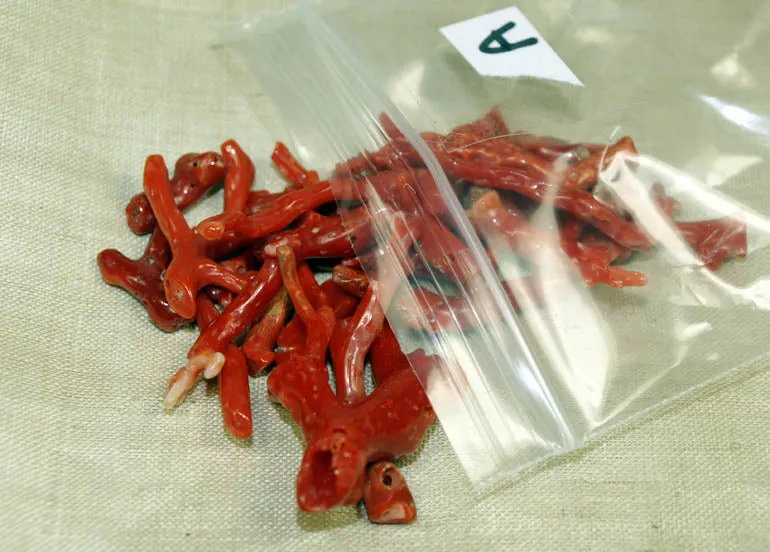 Collection Italian Branch Coral from the Lou Zeldis Component Collection