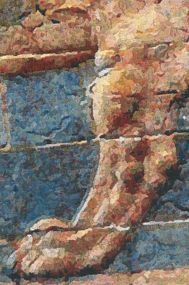 Lion II Darius Belgian Tapestry Wall Hanging